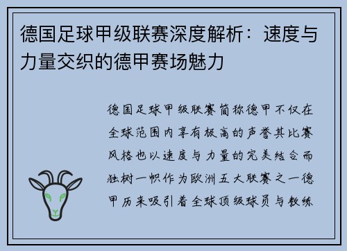 德国足球甲级联赛深度解析：速度与力量交织的德甲赛场魅力