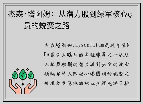 杰森·塔图姆：从潜力股到绿军核心球员的蜕变之路